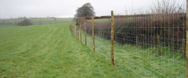 Hot Dipped Zinc Plated Steel Mesh for Field Fence