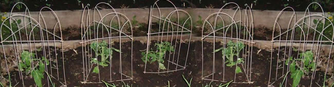 Wire Formed Arch for Small Flowers Support