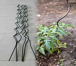 Bracing Wire for Tomato and Climbing Plants