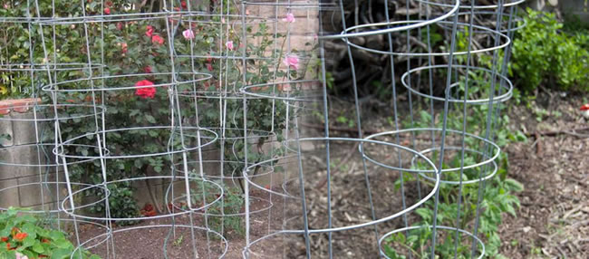 Plant Support for Gardening Garden Training Support Strap iTrend 2mm Multi-Purpose Garden Wire Heavy Duty wire Plastic Coated Garden Wire