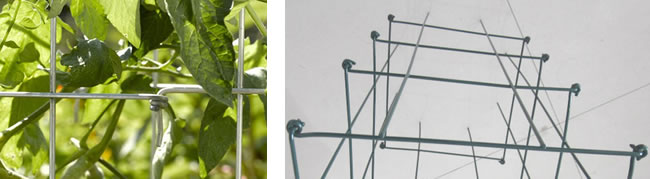 Wire Stand Support for Tomato Stems