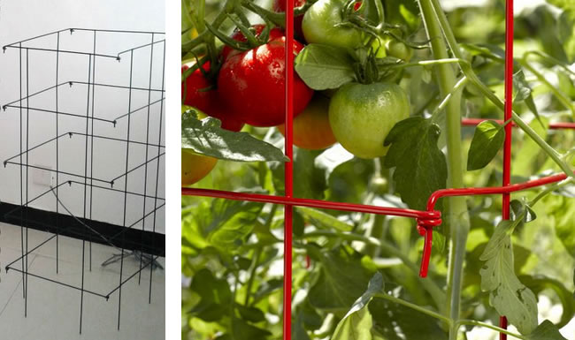 Ring Wire Formed Conical Stand for Vegetables